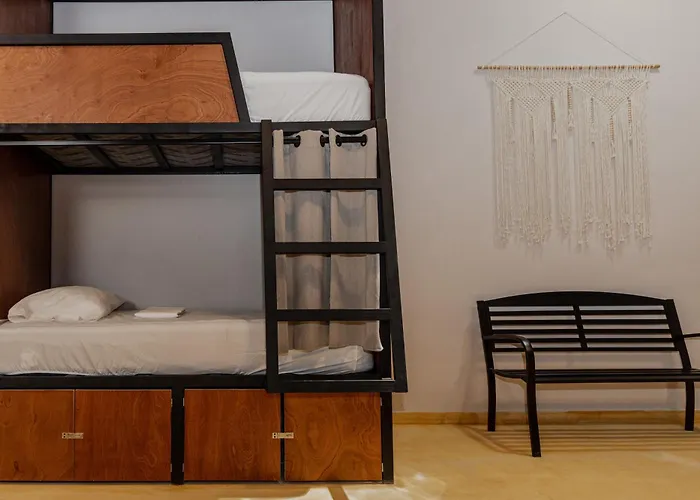 Caleta Hostel Rooftop & Pool Cancún